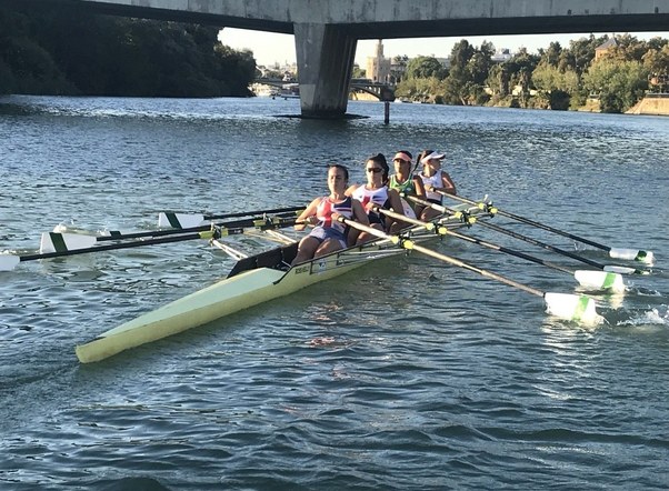 Rowing crew on the Guadalquivir with Torre del Oro