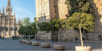 Historic Seville street for fall and spring study abroad