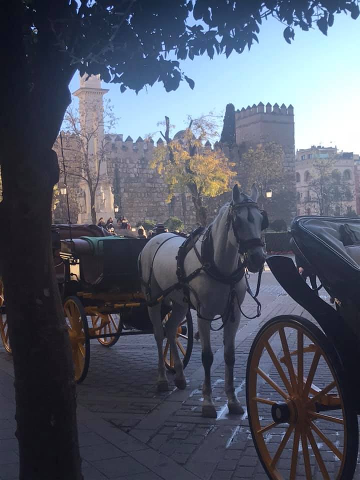 Barrio de Santa Cruz