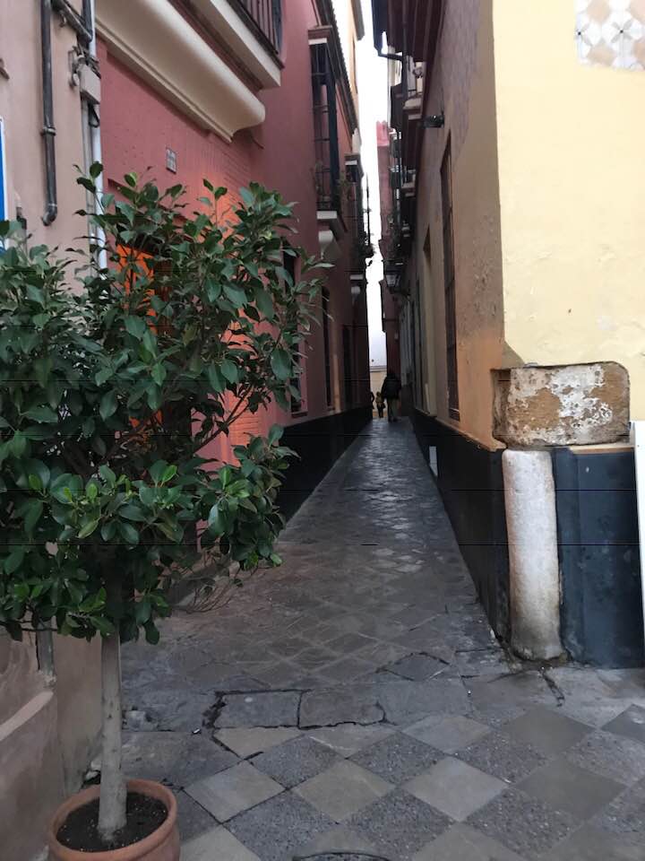 Barrio de Santa Cruz