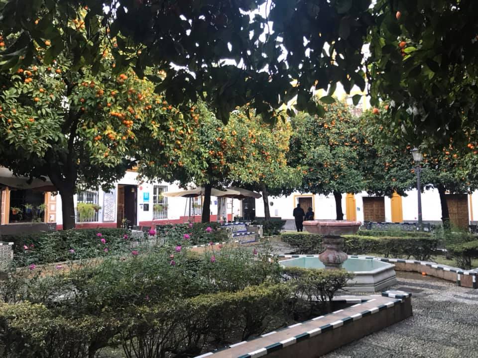 Barrio de Santa Cruz