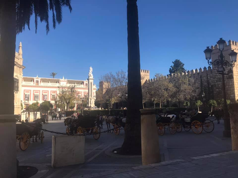Barrio de Santa Cruz