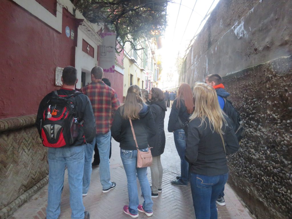 Barrio de Santa Cruz