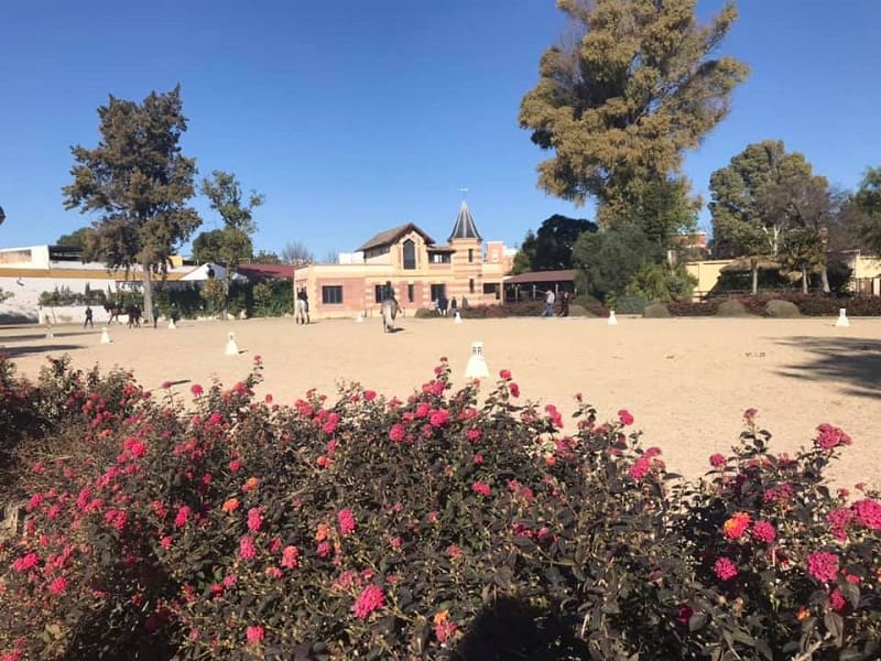 School Equestrian Art Jerez