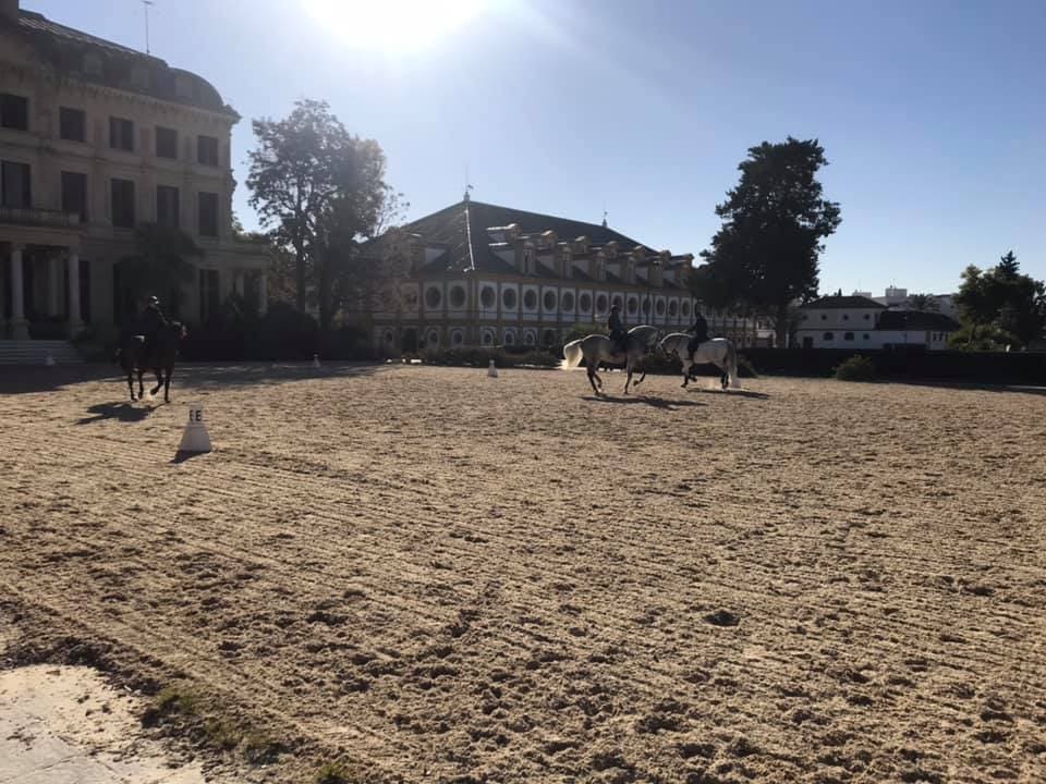School Equestrian Art Jerez