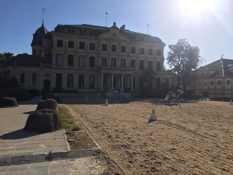 School Equestrian Art Jerez
