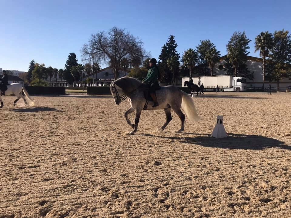School Equestrian Art Jerez