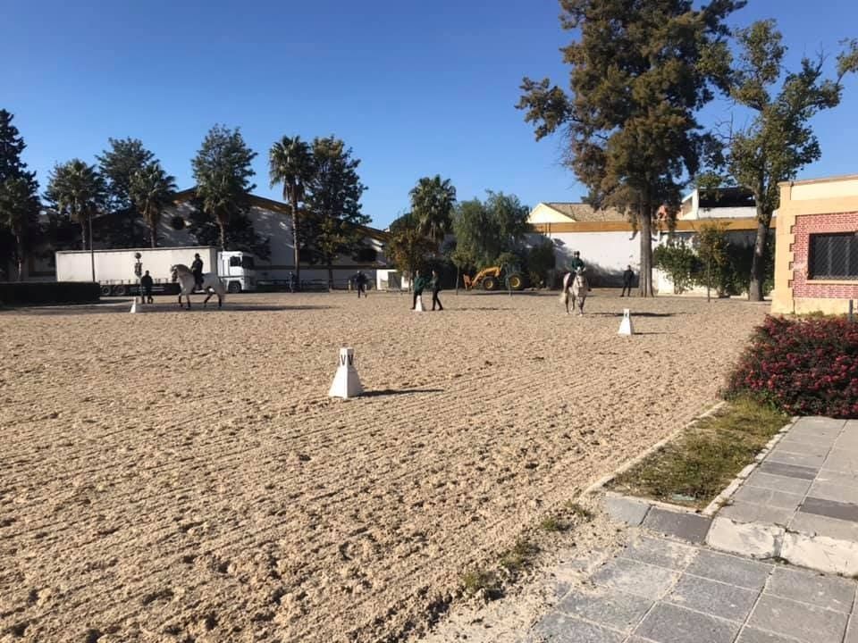 School Equestrian Art Jerez