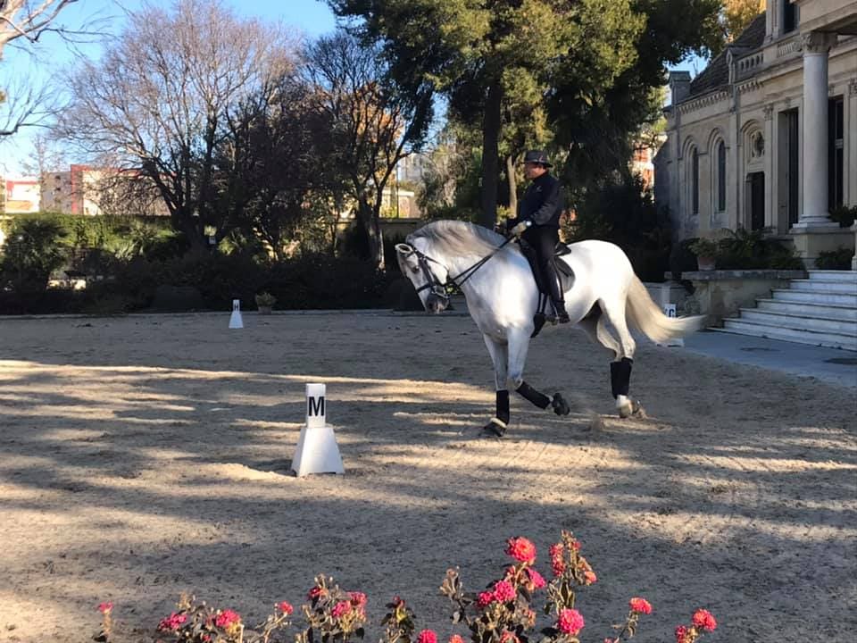School Equestrian Art Jerez