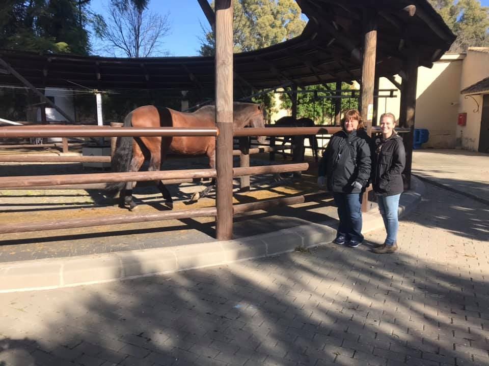 School Equestrian Art Jerez