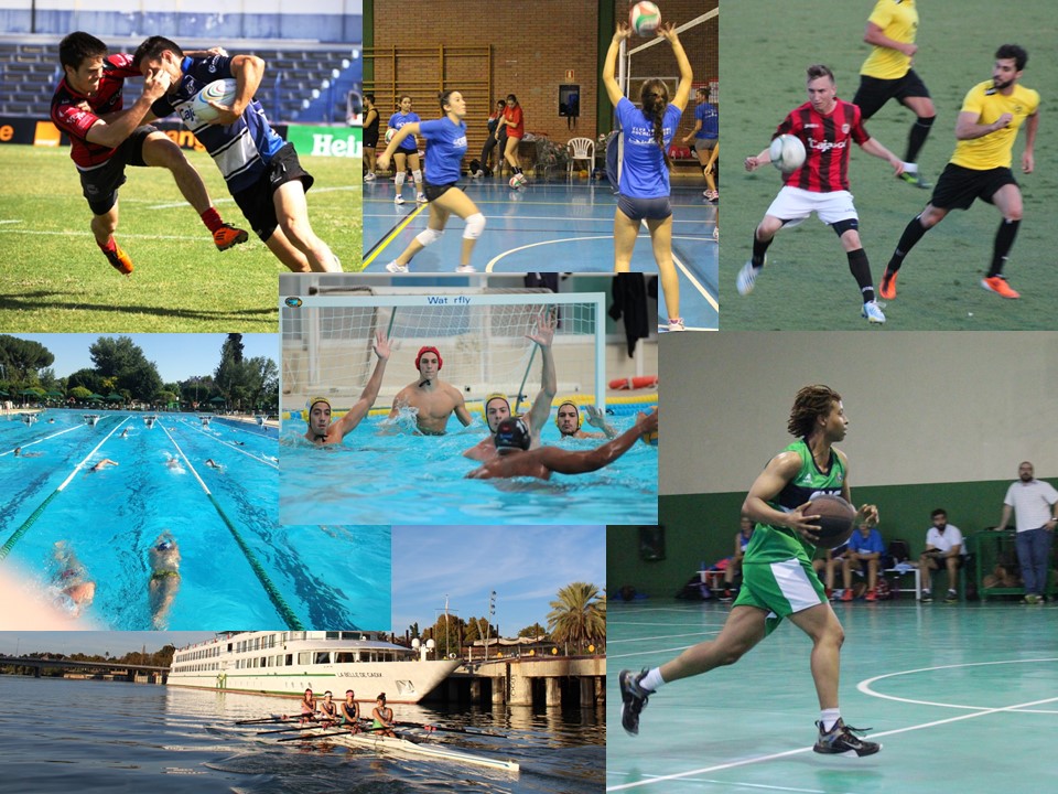 Sportsprograms