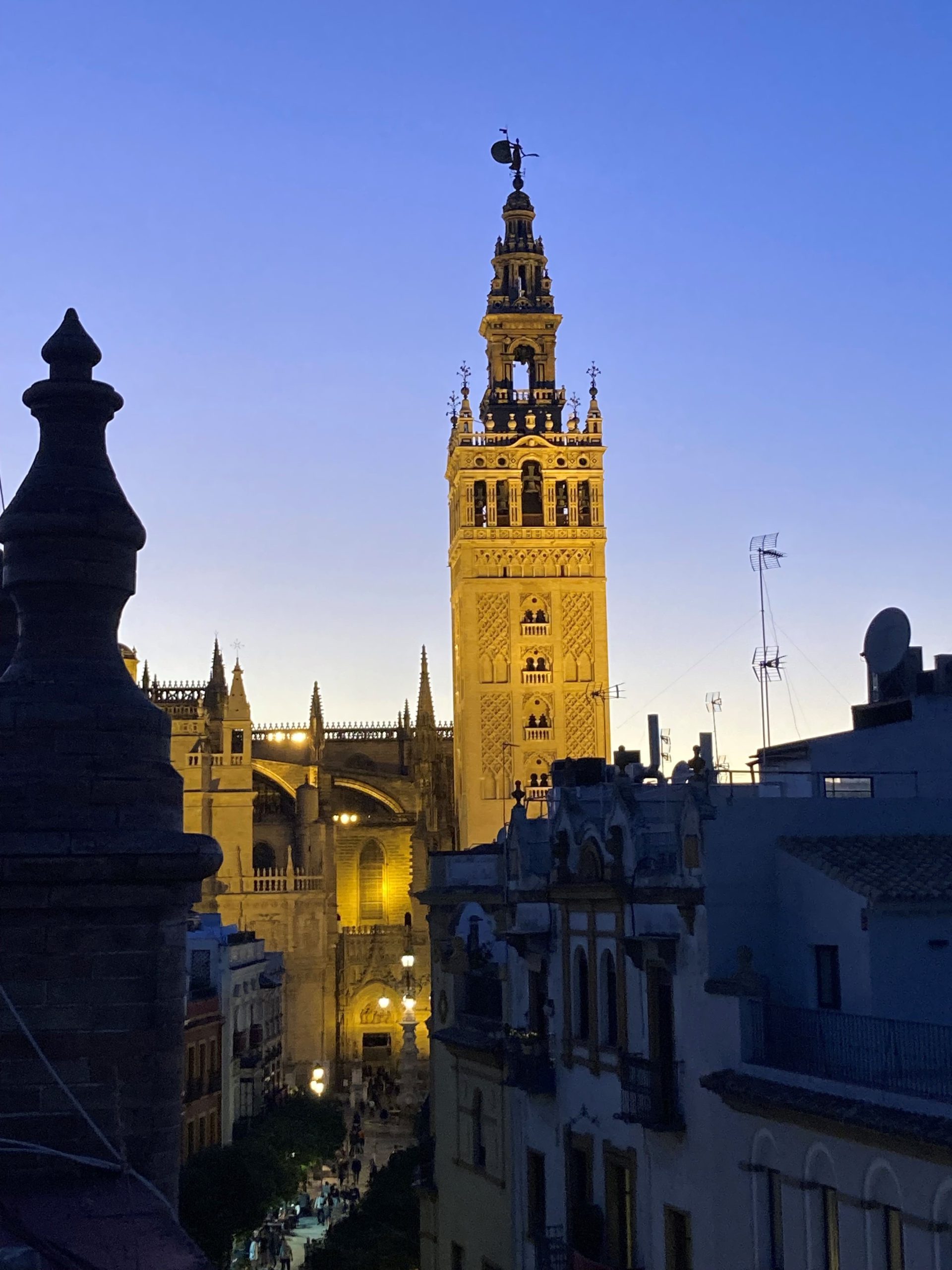 catedral2 1