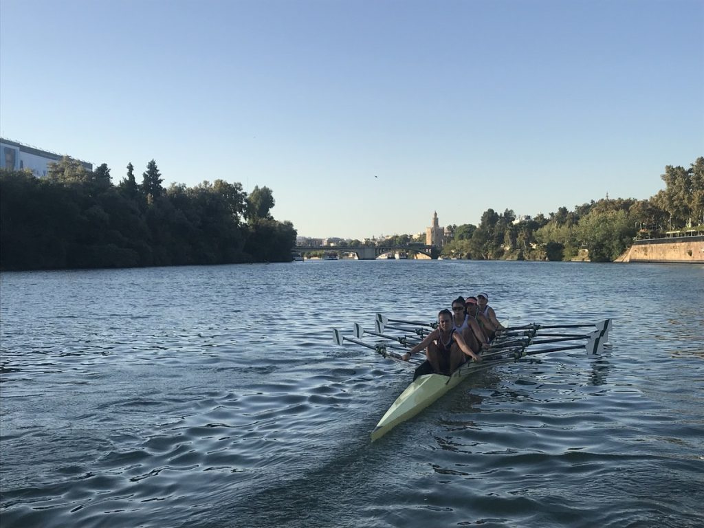 Elite rowing training in Seville