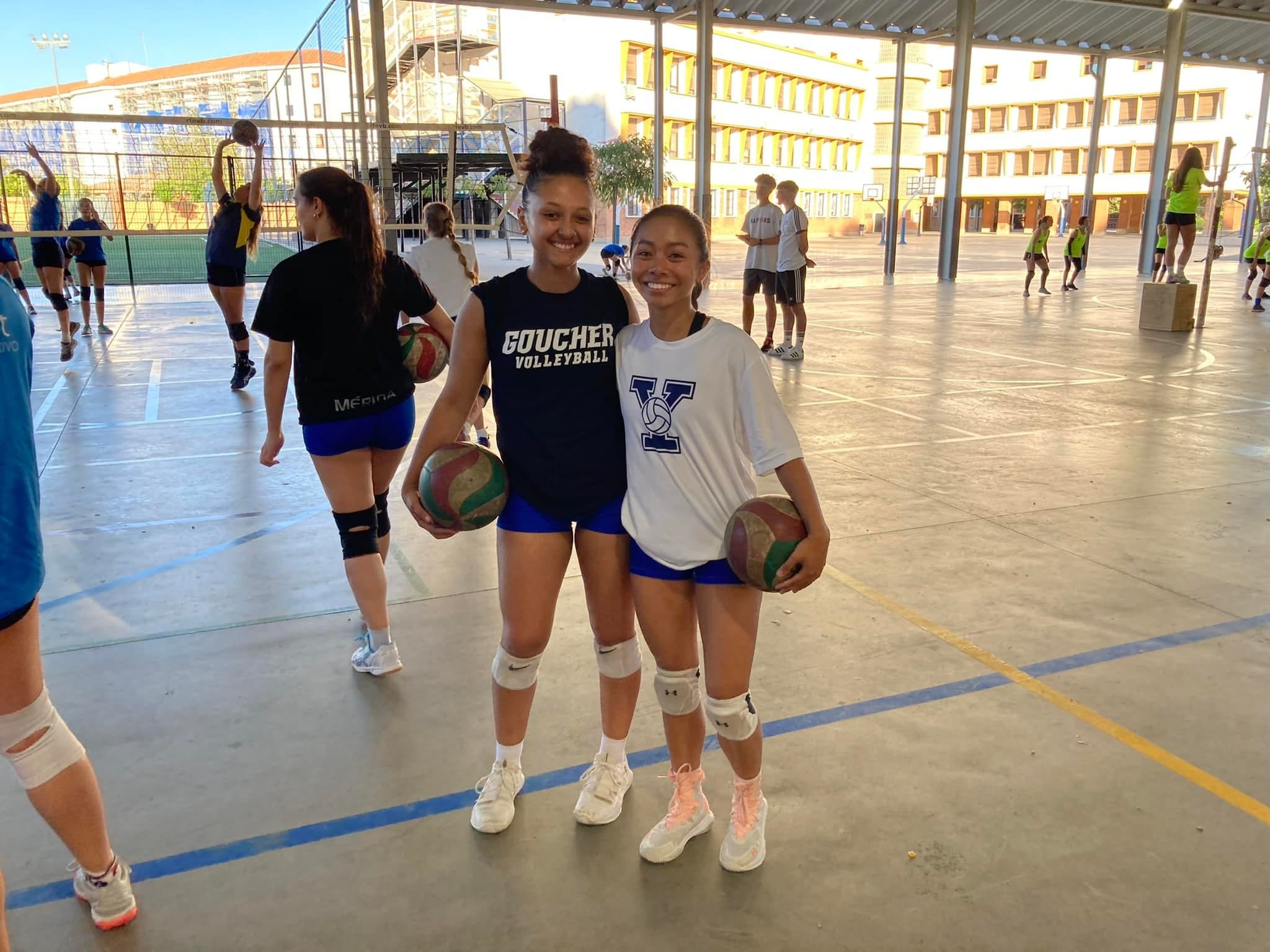 volleyball program