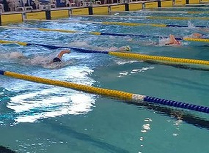 Swimmer in pool lanes