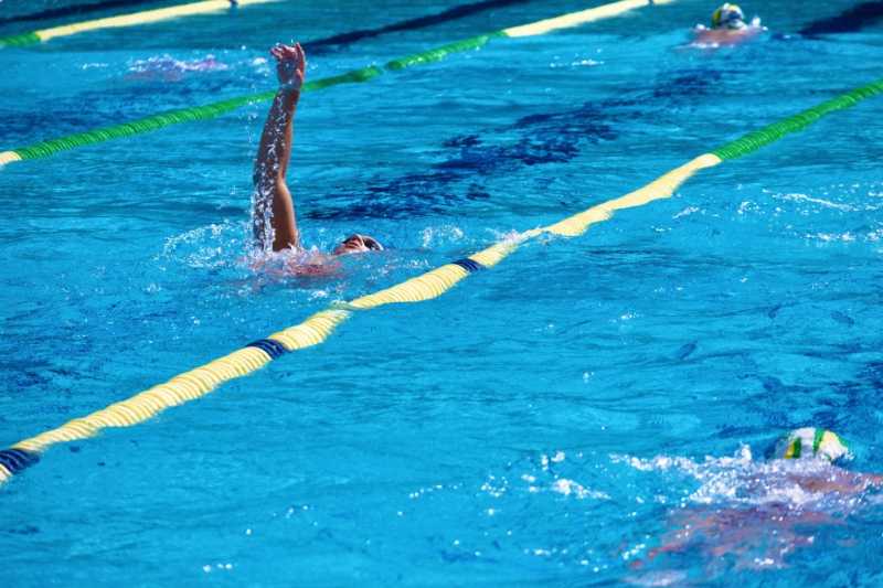 Spanish swimmers at practice in Seville